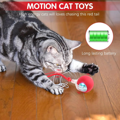 Interactive Rolling Cat/Dog Ball Toy, 360° Automatic Self Rolling Pet Ball