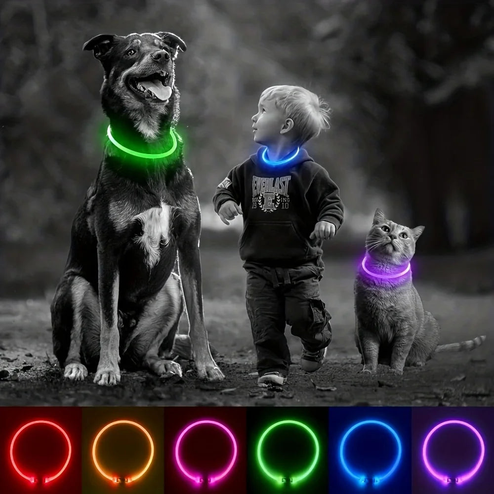 LED Dog Safety Collar, Rechargeable, Anti-Lost