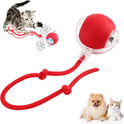 Interactive Rolling Cat/Dog Ball Toy, 360° Automatic Self Rolling Pet Ball