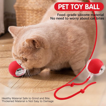 Interactive Rolling Cat/Dog Ball Toy, 360° Automatic Self Rolling Pet Ball