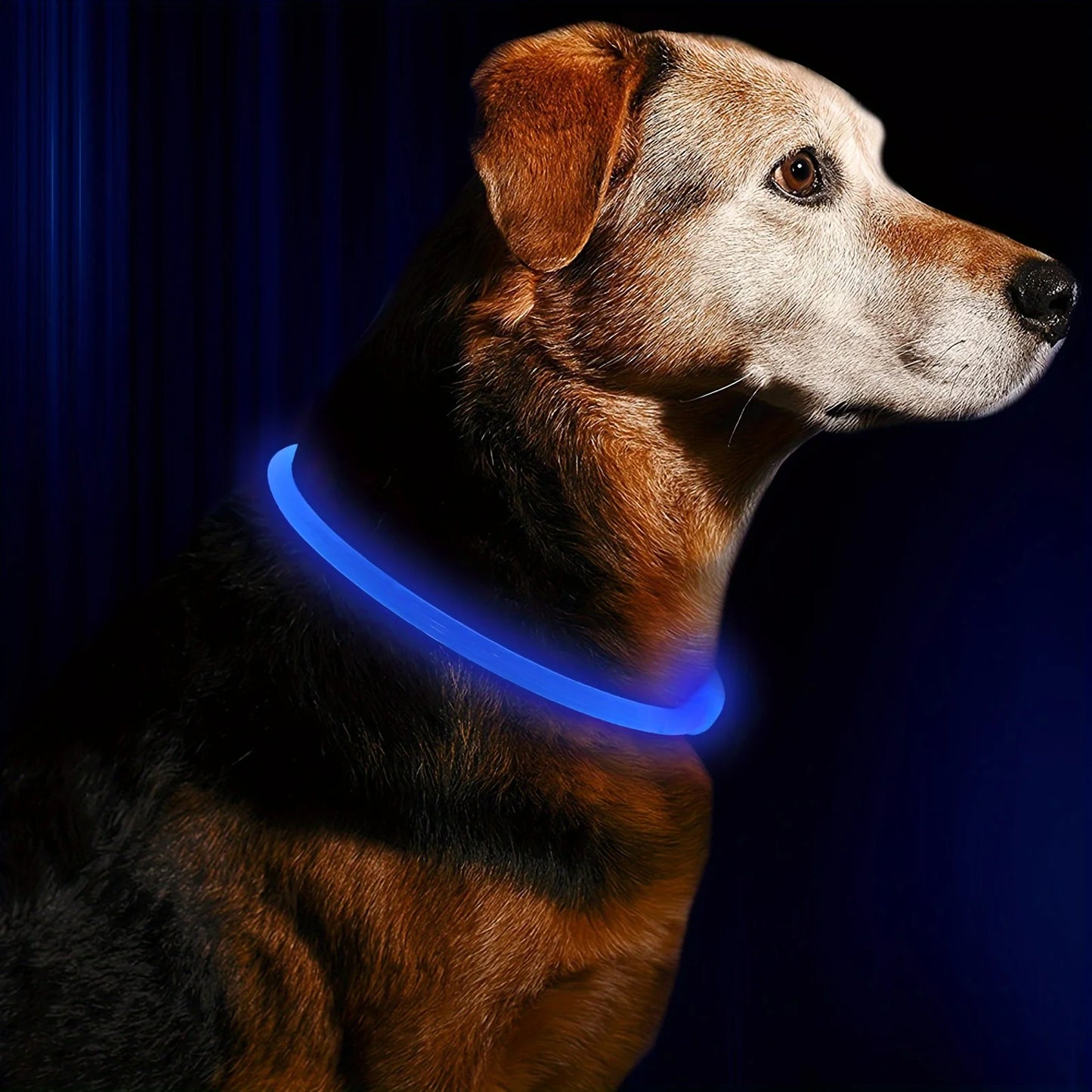 LED Dog Safety Collar, Rechargeable, Anti-Lost