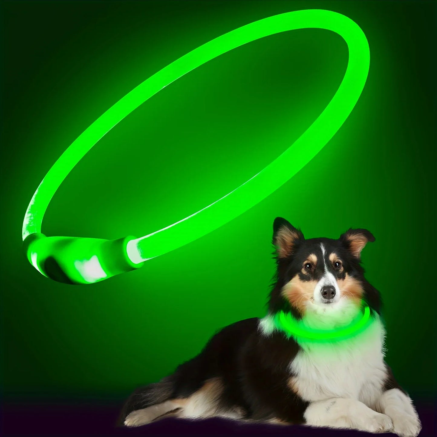 LED Dog Safety Collar, Rechargeable, Anti-Lost