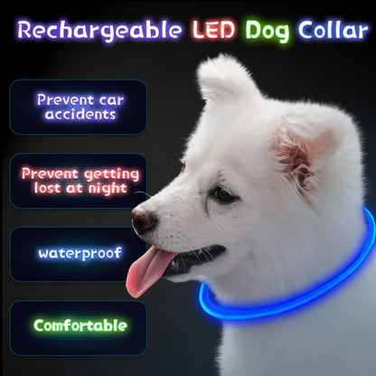 LED Dog Safety Collar, Rechargeable, Anti-Lost