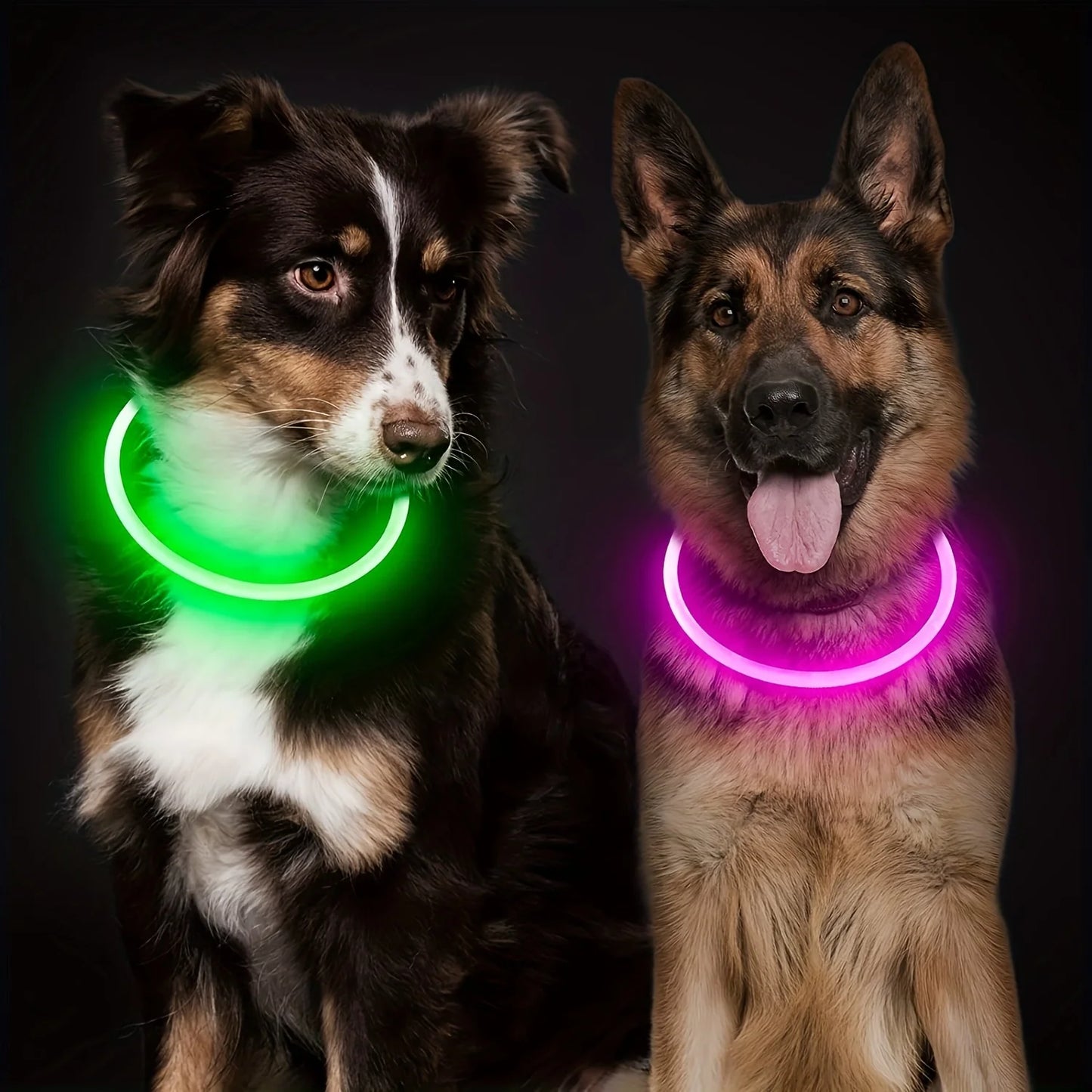 LED Dog Safety Collar, Rechargeable, Anti-Lost